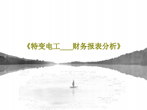 《特变电工___财务报表分析》52页PPT
