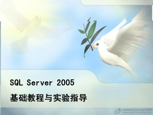 第8章 管理SQL Server 2005的安全