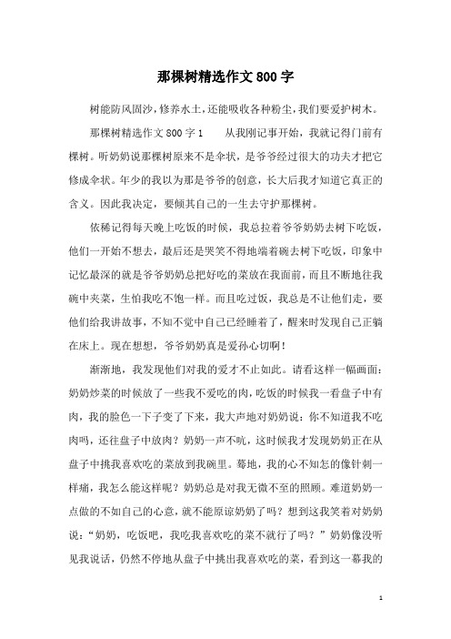 那棵树精选作文800字