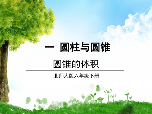 北师大版数学六年级下册圆锥的体积课件
