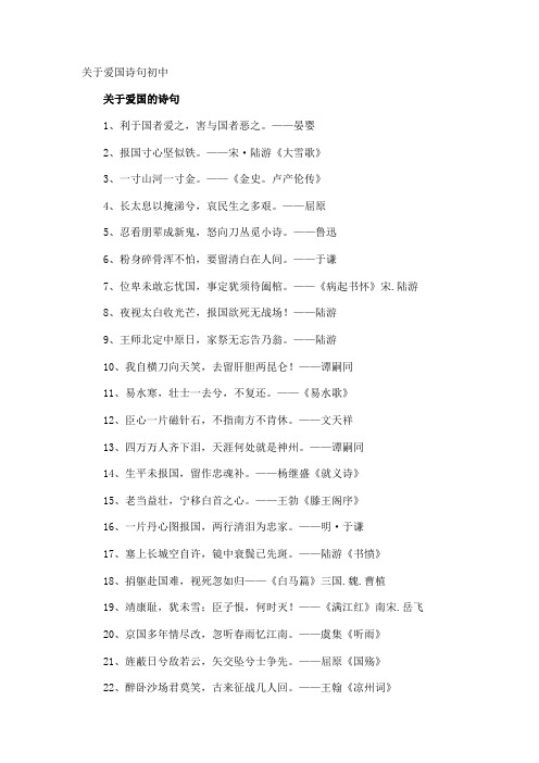 爱国诗句初中