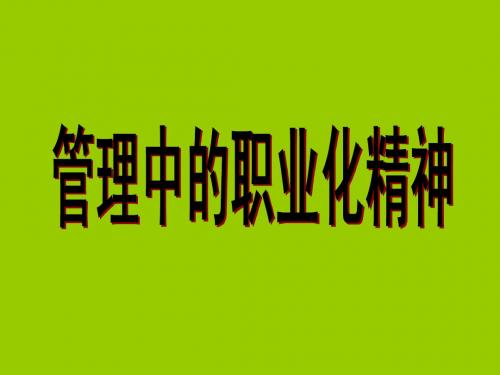 职业化精神(刘冬梅)
