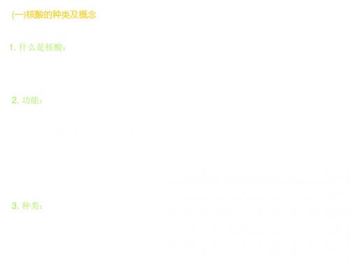 湖南省长沙市长郡中学2016年高三生物复习课件《遗传信息的携带者 细胞中的糖类》 (共108张PPT)