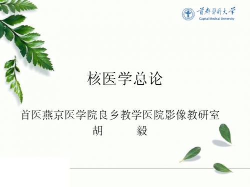 核医学总论