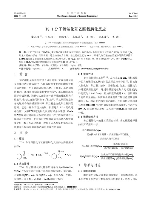 TS-1 分子筛催化苯乙酮氨肟化反应