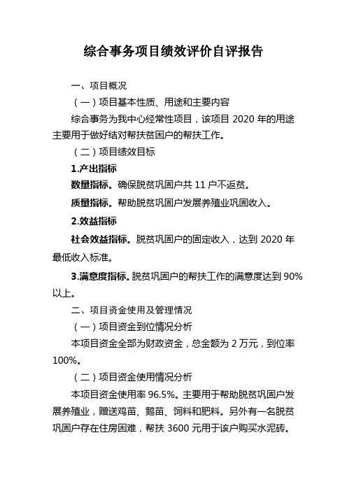 综合事务项目绩效评价自评报告【模板】