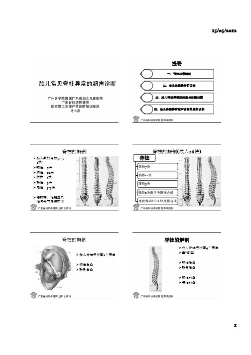 胎儿常见脊柱异常的超声诊断