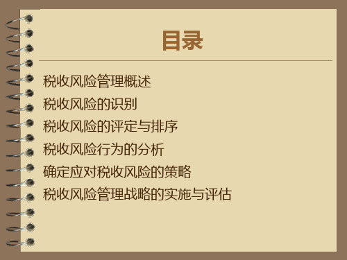 税收风险管理