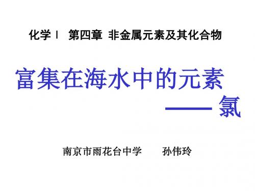 富集在海水中的元素——氯PPT课件2 苏教版