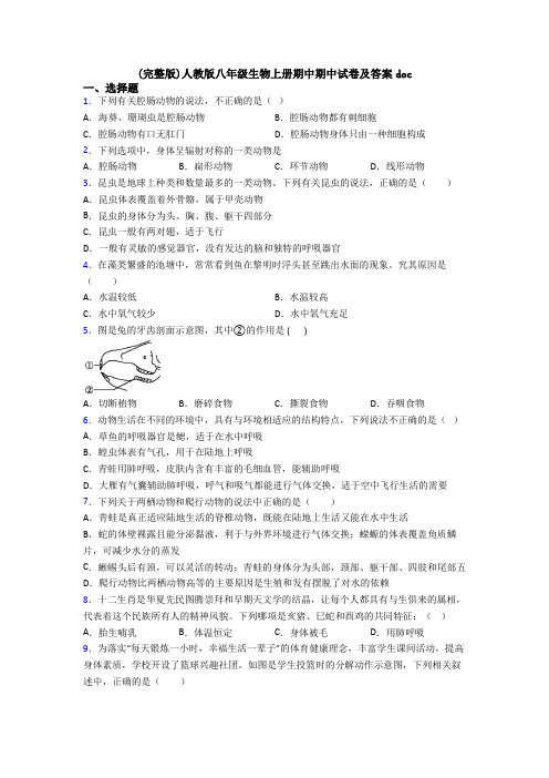 (完整版)人教版八年级生物上册期中期中试卷及答案doc