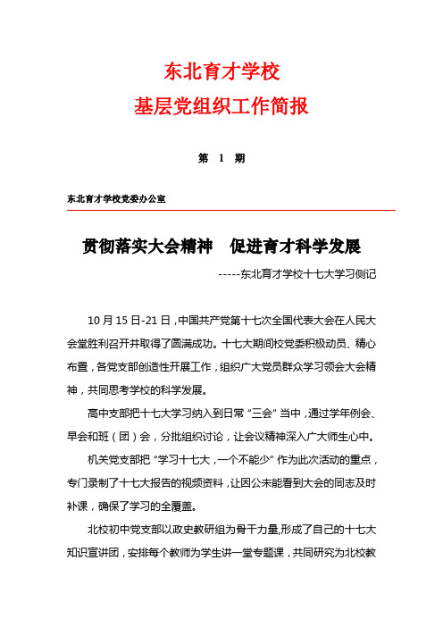 基层党组织工作简报001