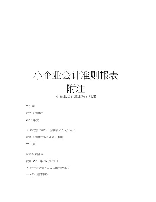 小企业会计准则报表附注教程文件