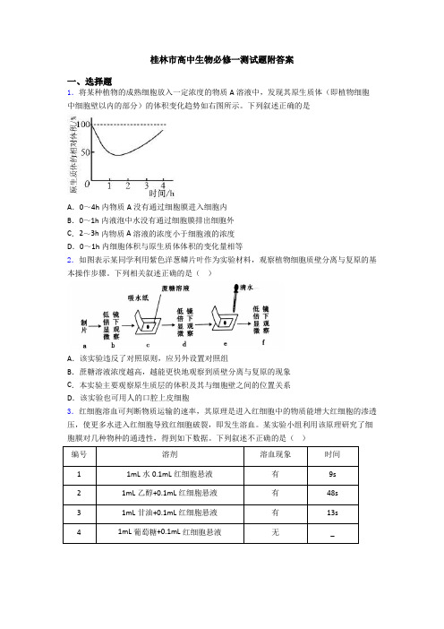 桂林市高中生物必修一测试题附答案
