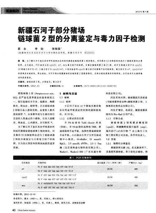 新疆石河子部分猪场链球菌2型的分离鉴定与毒力因子检测