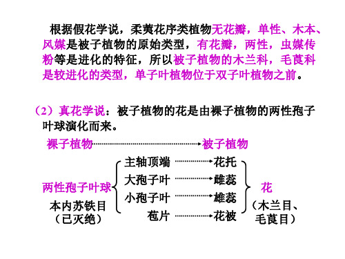 分类系统