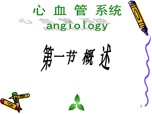 心脏解剖及心血管循环精品PPT课件
