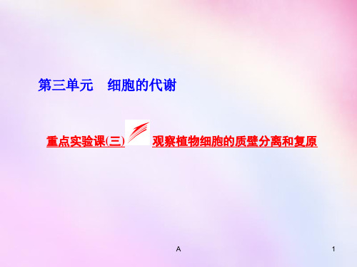 高考生物一轮复习 重点实验课(三)观察植物细胞的质壁分离和复原课件 浙教版必修1 (2)