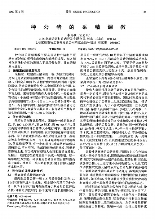 种公猪的采精调教