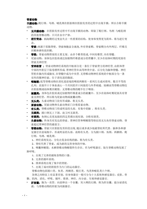 脊索动物