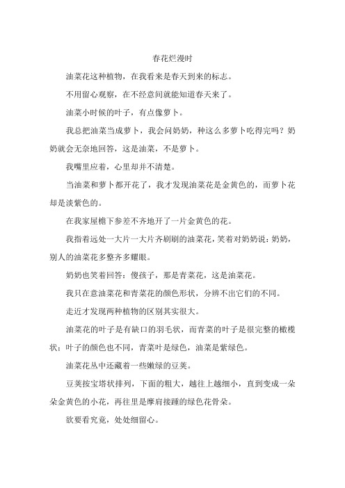 春花烂漫时--作文