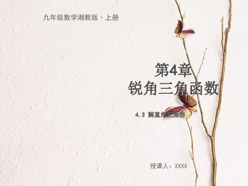 九年级数学上册 第4章 锐角三角函数 4.3 解直角三角形教学课件 (新版)湘教版.pptx
