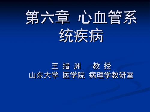 第六章心血管系统-115页PPT精品文档