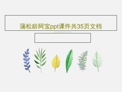蒲松龄阿宝ppt课件共35页文档PPT文档37页