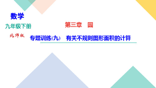北师大版九年级下册数学习题课件第三章专题训练(九) 有关不规则图形面积的计算