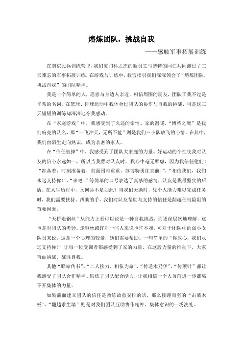 熔炼团队