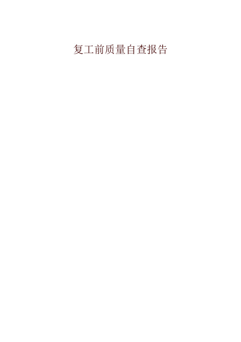 复工自查报告