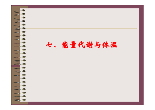 07 能量代谢与体温