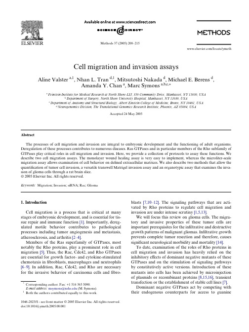 Cell migration and invasion assays