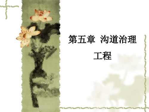 51-2沟头-谷坊工程