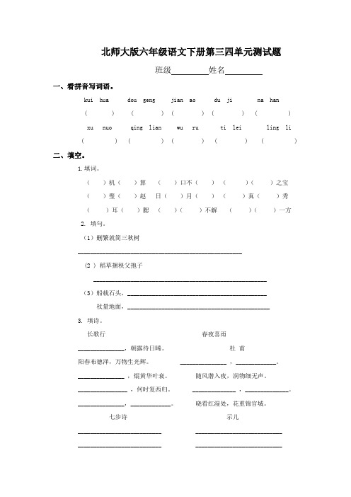 北师大版六年级下册语文第四单元试卷