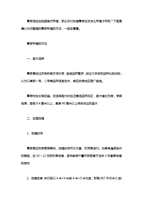 怎么种植青枣具体方法有哪些：重庆种植台湾青枣
