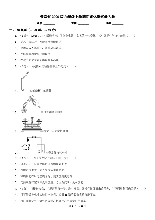 云南省2020版九年级上学期期末化学试卷B卷