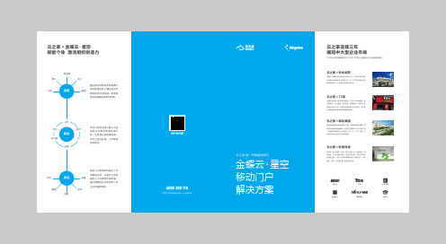云之家金蝶云·星空