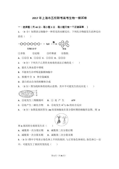 2017年上海市五校联考高考生物一模试卷(可编辑修改word版)