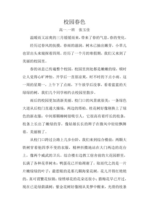 校园春色