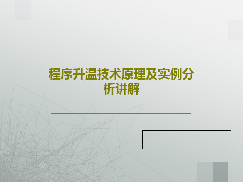 程序升温技术原理及实例分析讲解PPT文档共59页