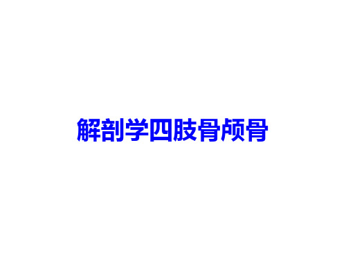 解剖学四肢骨颅骨培训课件