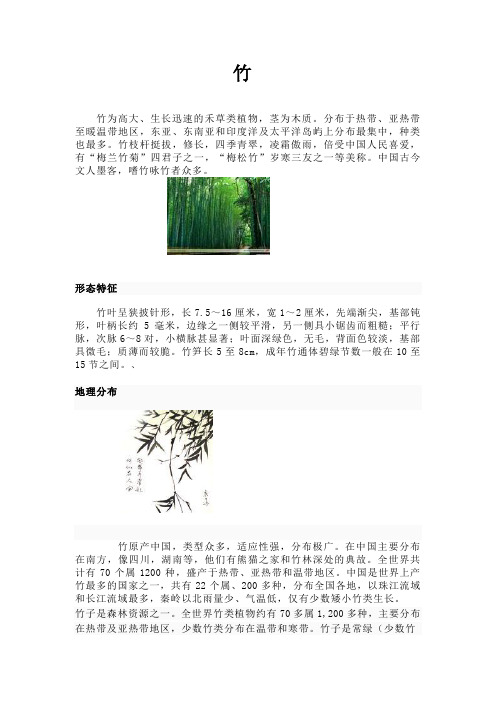 竹