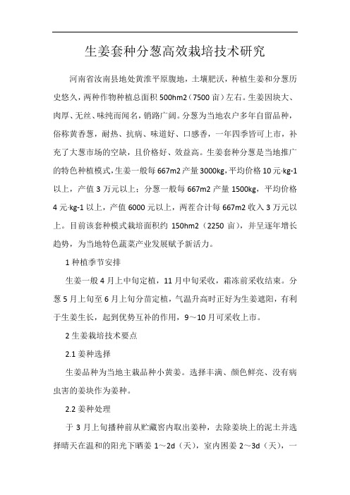 生姜套种分葱高效栽培技术研究