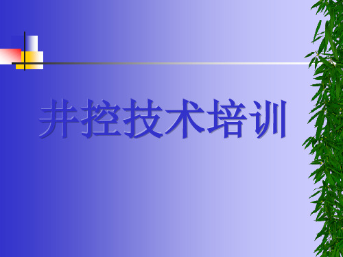 井控技术之专用设备及工具专题培训课件