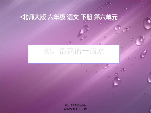 《你,浪花的一滴水》PPT课件