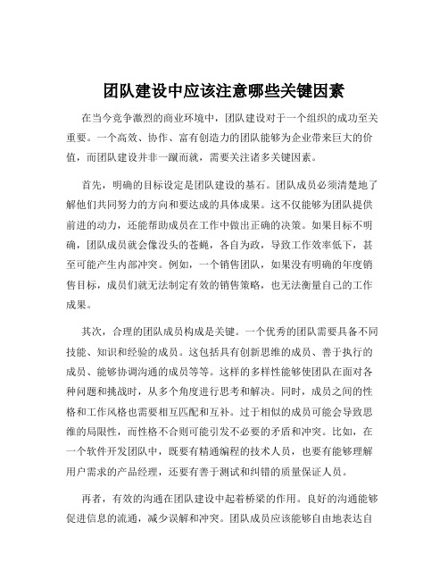 团队建设中应该注意哪些关键因素