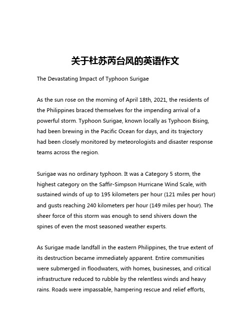 关于杜苏芮台风的英语作文