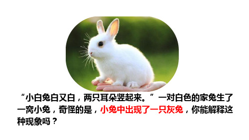 人教版生物八下7-2-3 基因的显性和隐性 课件(37张PPT)