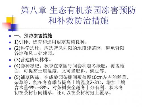 对受冻茶树的救护复壮措施
