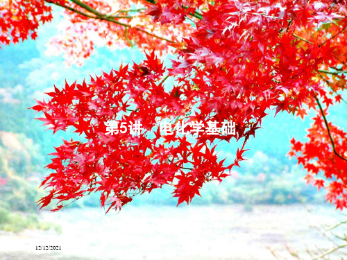 高考化学二轮复习5电化学基础课件